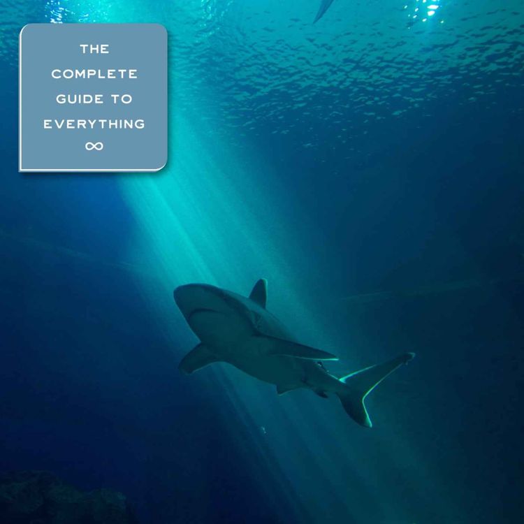 cover art for Sharks