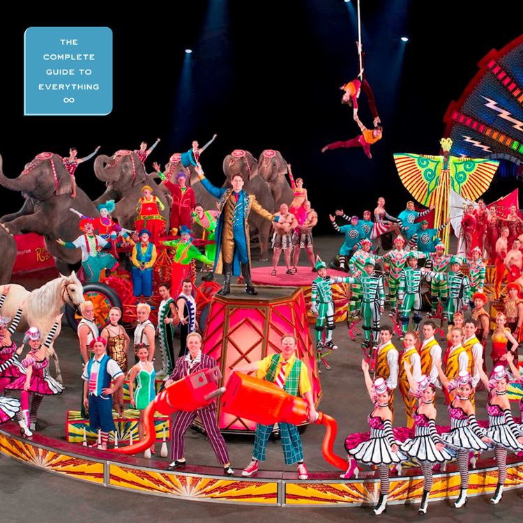 cover art for The Circus