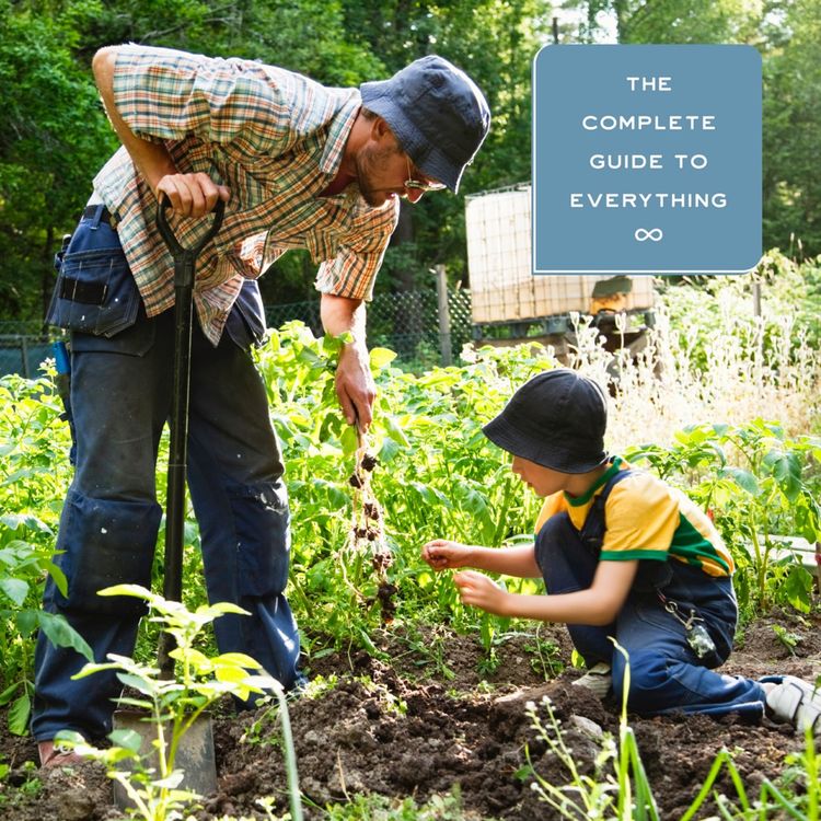 cover art for Gardening