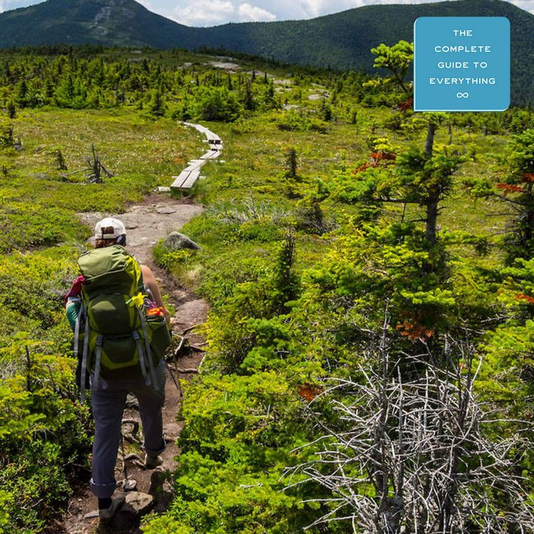cover art for Hiking