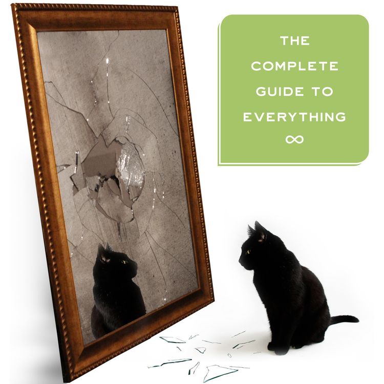 cover art for Bad Luck