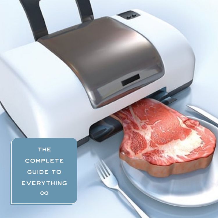 cover art for Fake Meat