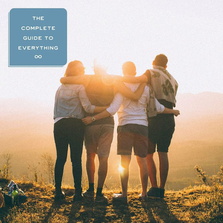 cover art for Adult Friendship