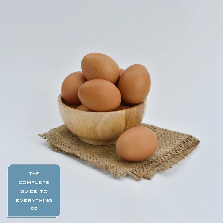 cover art for Eggs