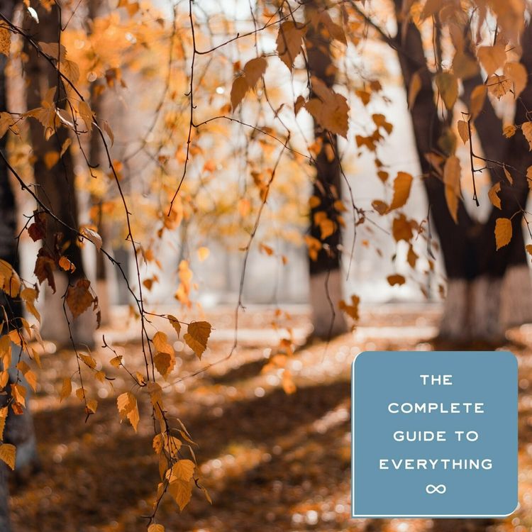 cover art for Autumn