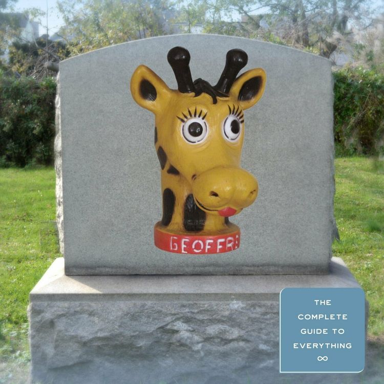 cover art for Toys R Us: RIP