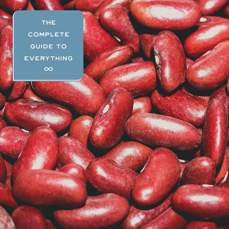 cover art for Beans