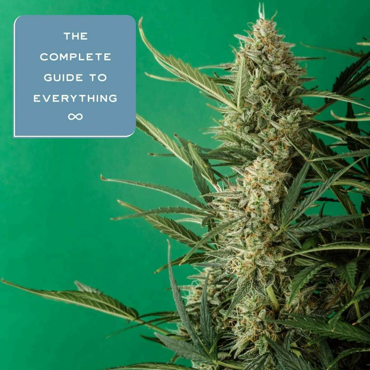 cover art for Legal Weed