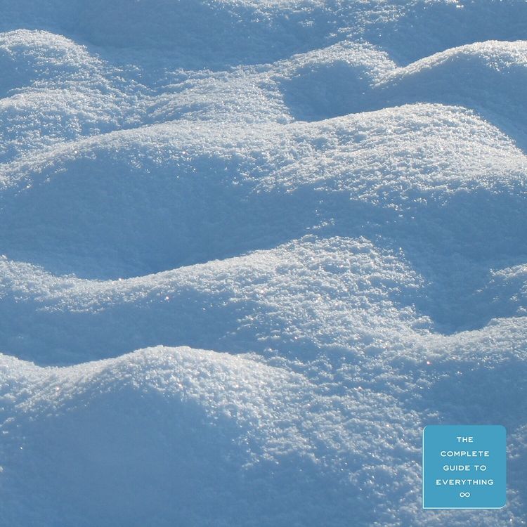 cover art for Snow Days
