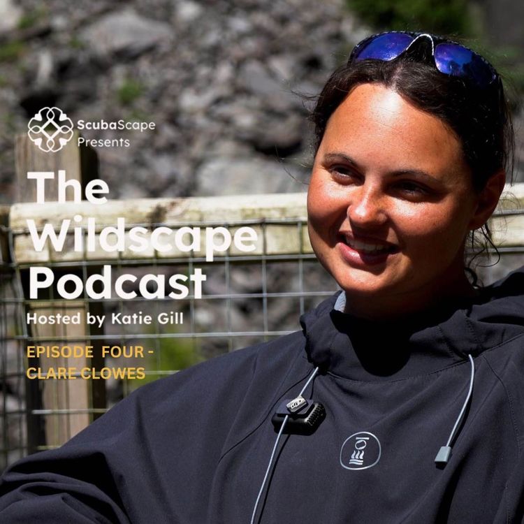 cover art for Clare Clowes