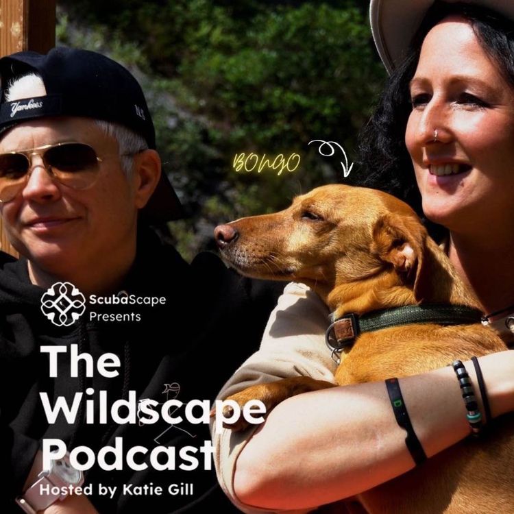 cover art for Episode 5 - Camp Bongo