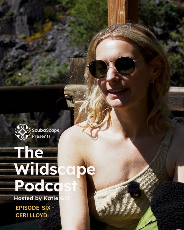 cover art for Episode 6 - Ceri Lloyd