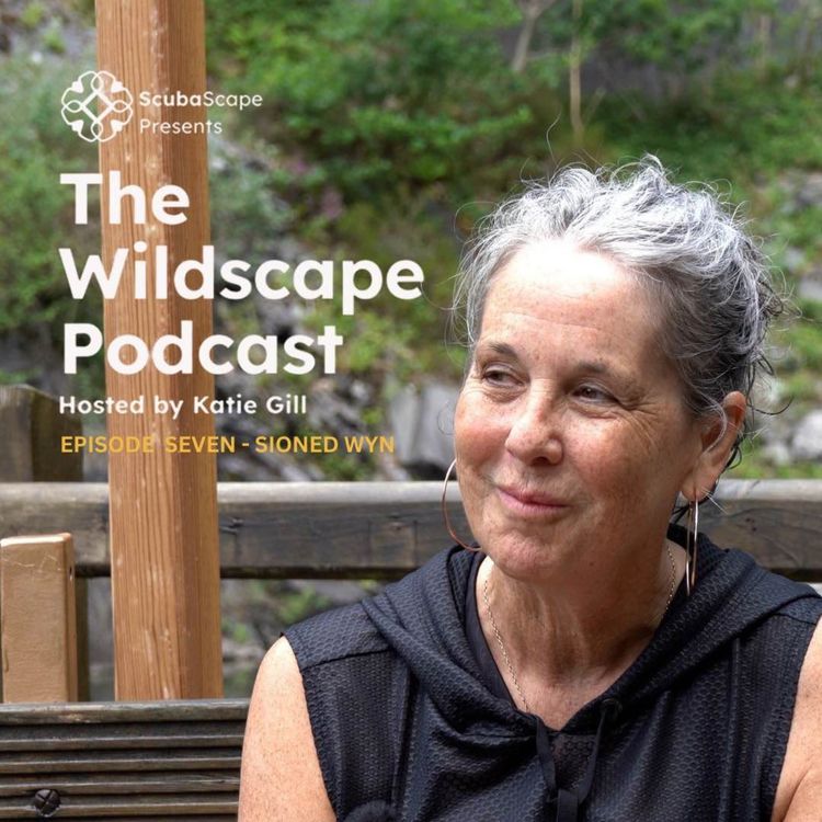 cover art for Episode 7- Sioned Wyn