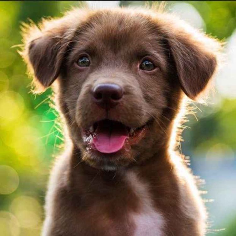 cover art for Episode 205: Fast and Furious - More Inspiration Coming Fast