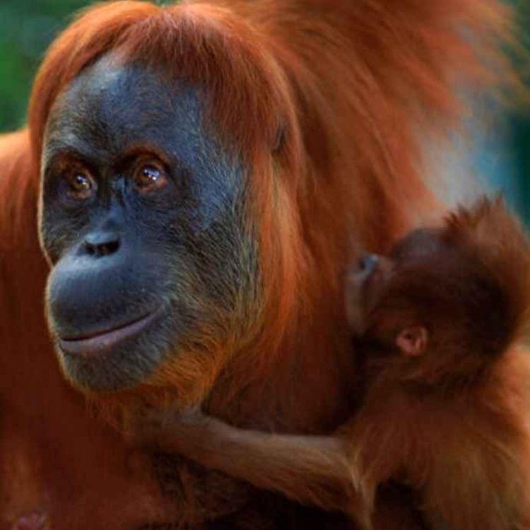 cover art for Episode 207: Small Doses of Powerful Inspiration