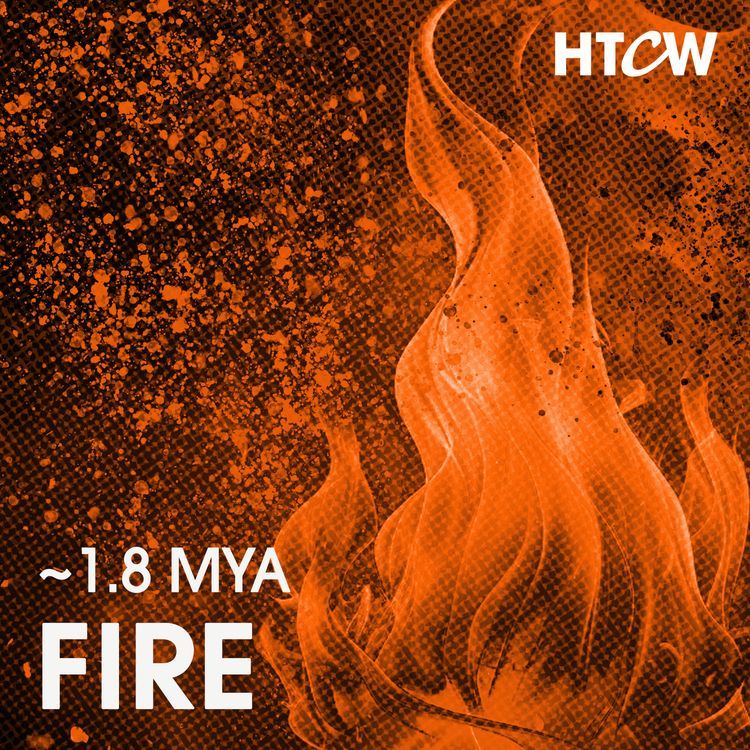 cover art for [~1.8 Mya] - Fire: The Innovation that Forged Humanity and Sparked World Domination