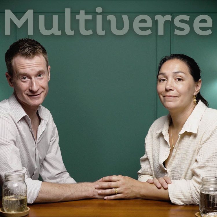 cover art for Multiverse Mastery