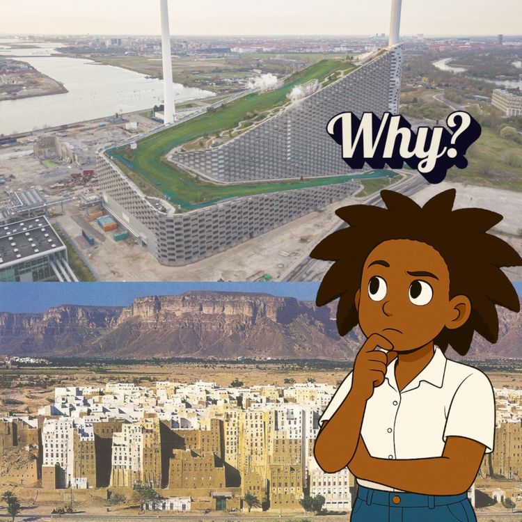 cover art for Why do we build today?