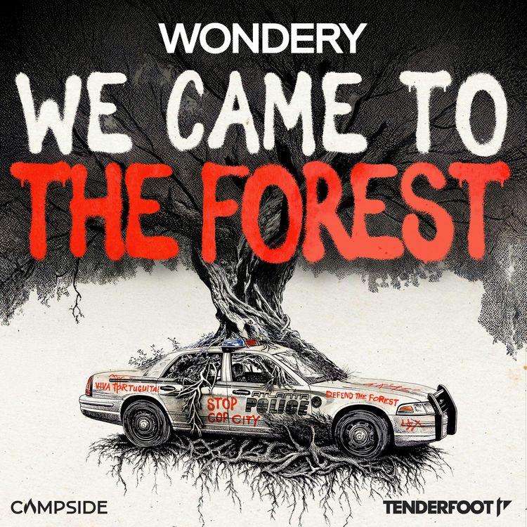 cover art for Introducing: We Came to the Forest