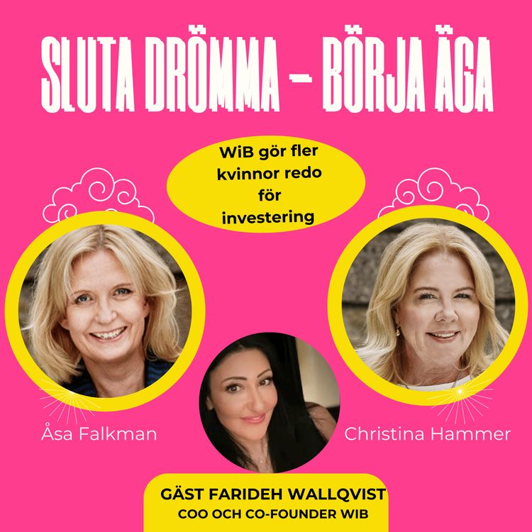 cover art for Bara 1 % av riskkapitalet går till kvinnor – så löser ViB det