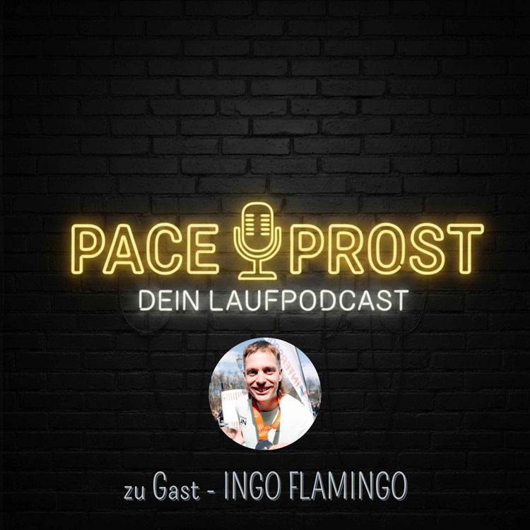 cover art for 72 Kilometer durchs Dorf – mit Ingo Flamingo