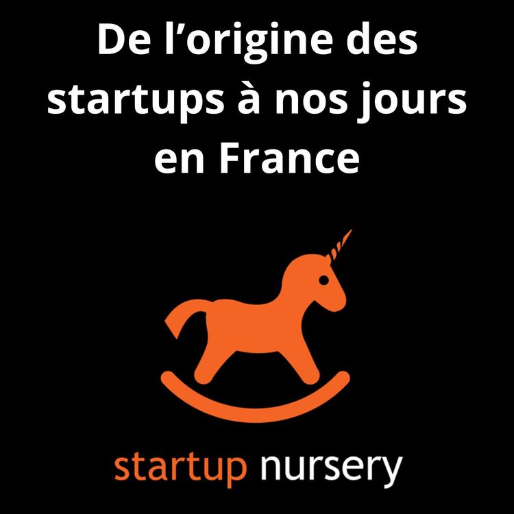 cover art for De l'origine des startups à nos jours en France