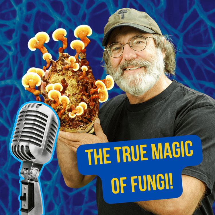 cover art for مستندهای عجیب و غریب | اپیزود ۱۴ : جادوی واقعی قارچها - قلمروی سوم، درونگرایان طبیعت