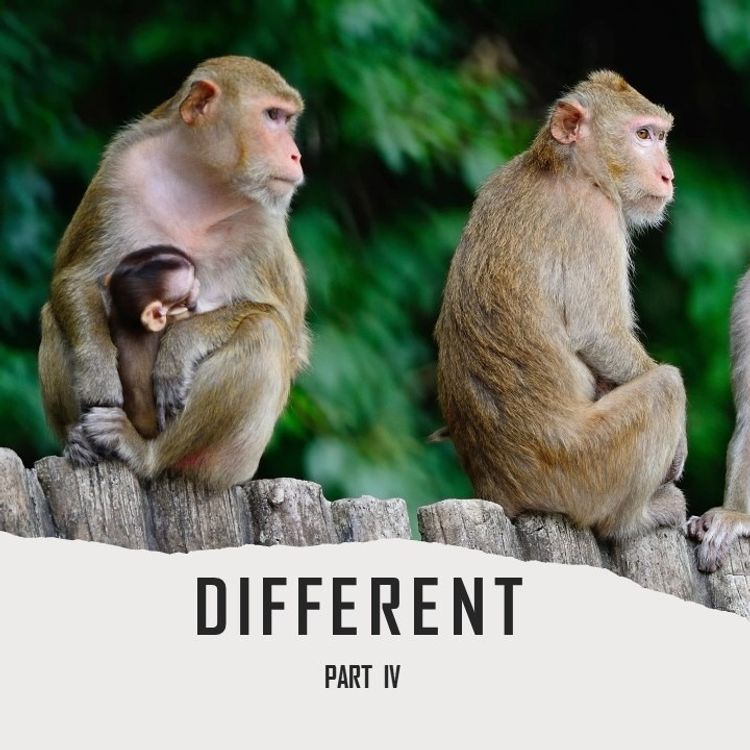 cover art for مرور و بحث کتاب "متفاوت" فرانس دووال | بخش چهارم و پایانی