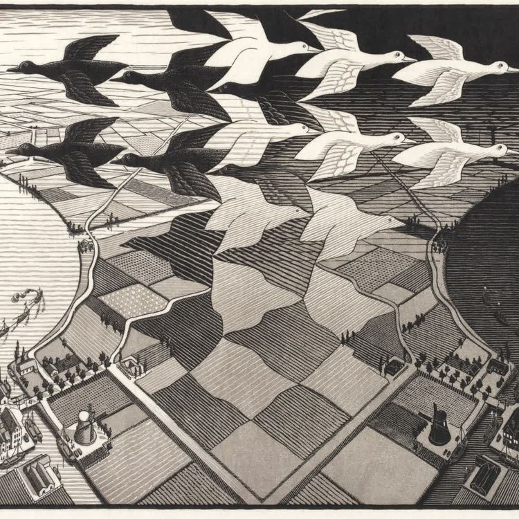 cover art for کدام جهان جواب من است؟