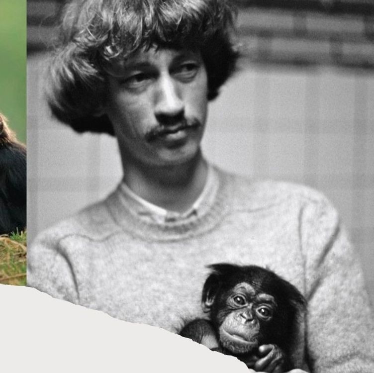 cover art for مرور و بحث کتاب "متفاوت" فرانس دووال | بخش دوم