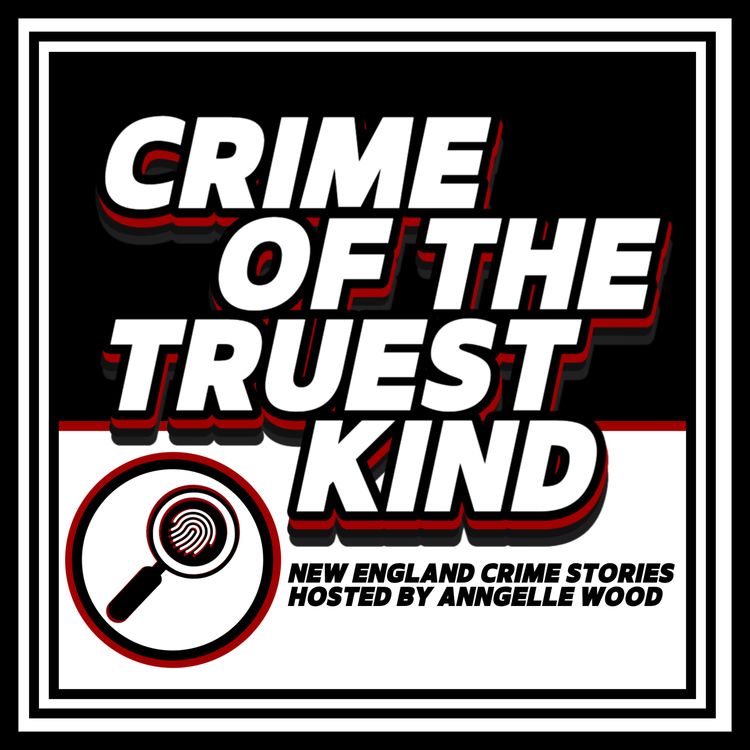 cover art for Introducing: Open Investigation - the nine-part podcast series about missing Lawrence, Massachusetts boy, Andy Puglisi