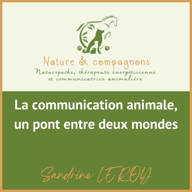 cover art for La communication animale, un pont entre deux mondes
