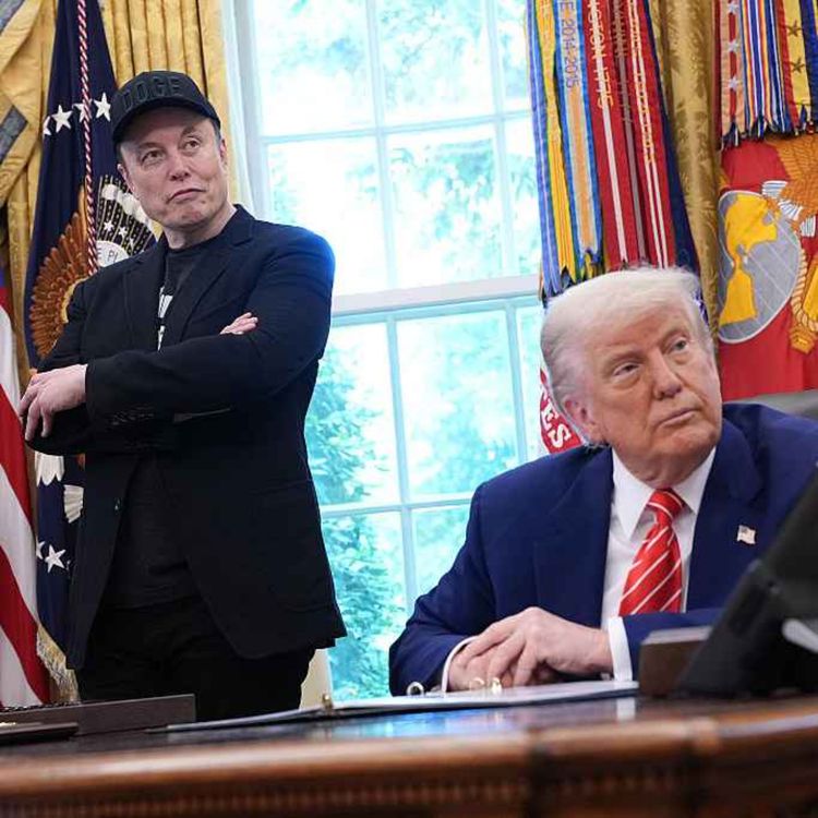 cover art for Did the swamp drain Elon Musk?