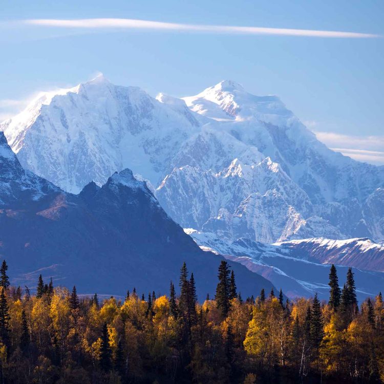 cover art for Why are Trump and Putin meeting in Alaska?
