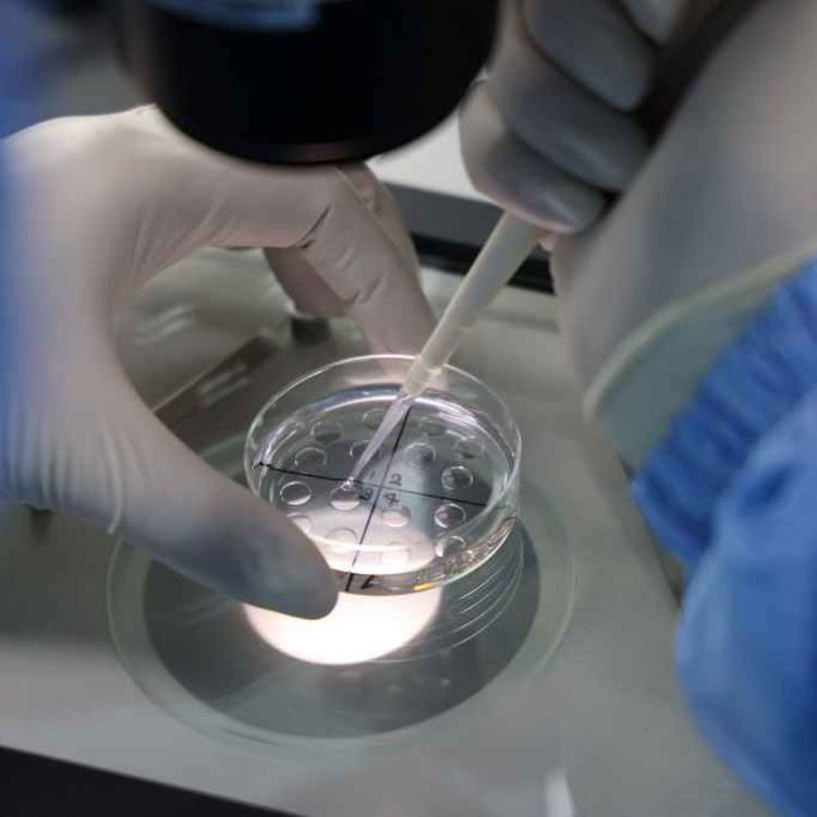 cover art for Matt Ridley on Chinese biolabs in America, Covid & the reality of biowarfare