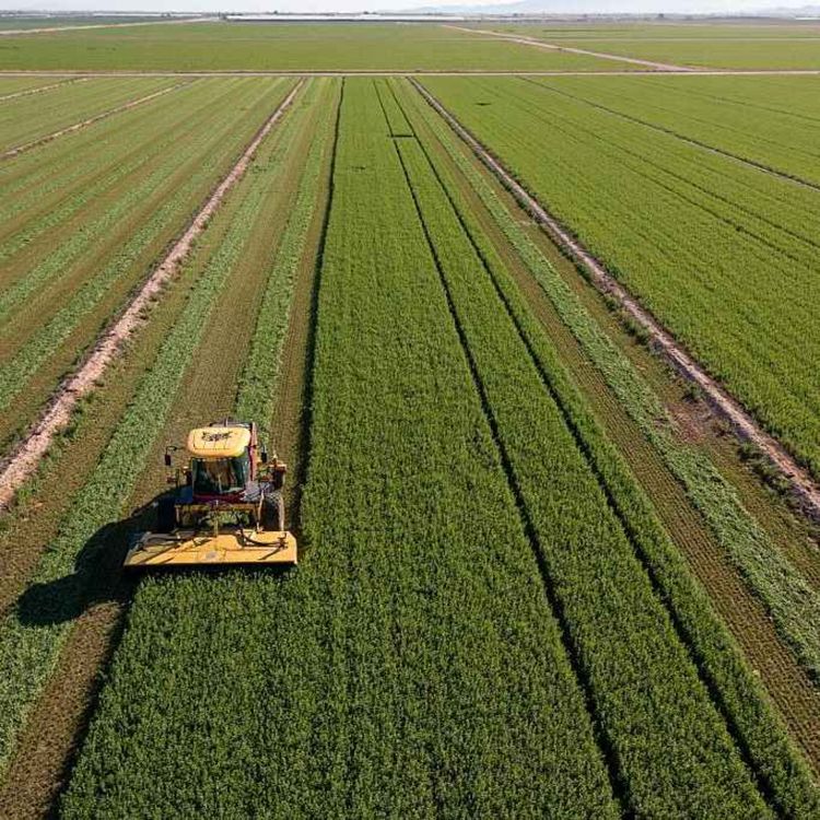 cover art for How to save American farming