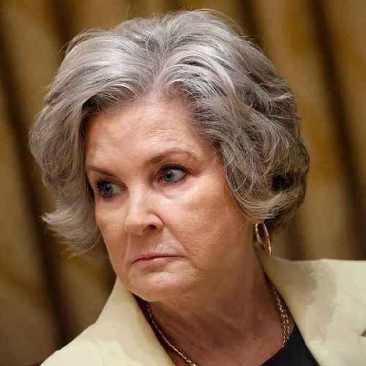 cover art for Americano: why did Susie Wiles talk to Vanity Fair?