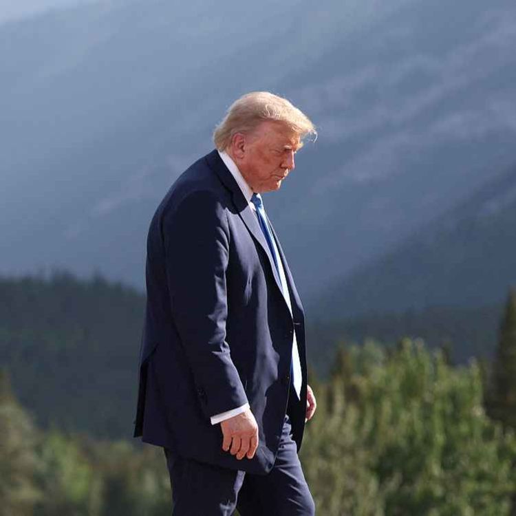 cover art for Westminster waits for Donald’s decision