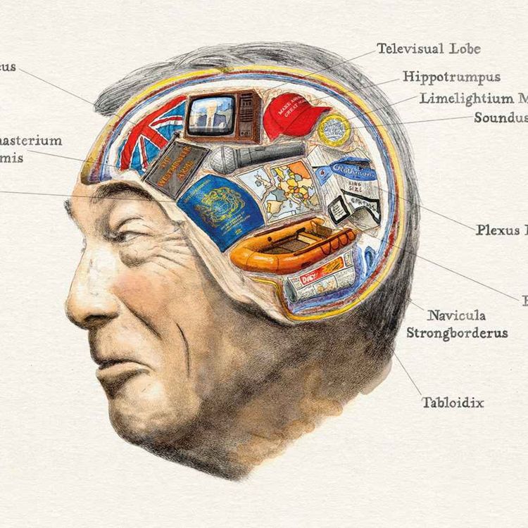cover art for What’s inside Farage’s brain?