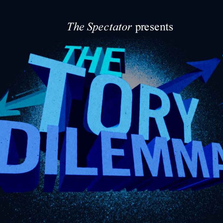 cover art for LIVE: is it time for a Tory-Reform pact?