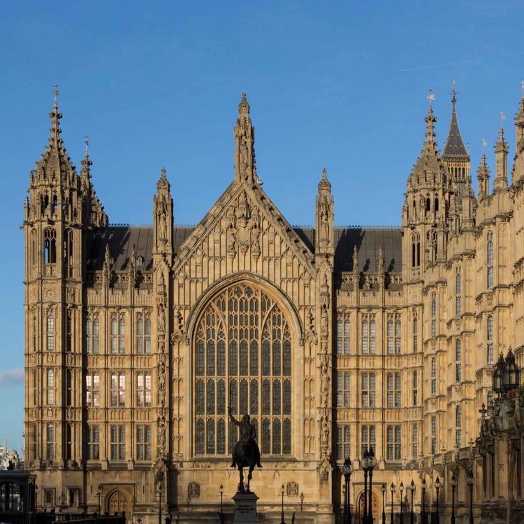 cover art for The end of the peer show