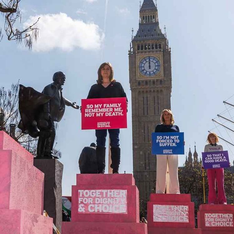 cover art for Why did the assisted dying bill fail? | Lord Moore vs Lord Falconer