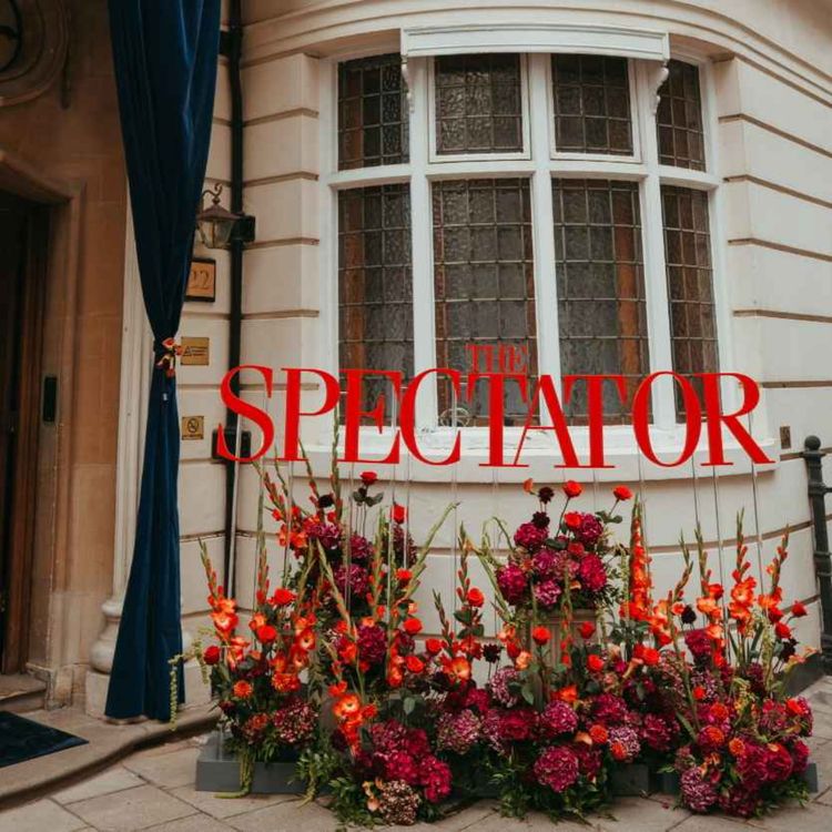 cover art for The secrets of the Spectator summer party