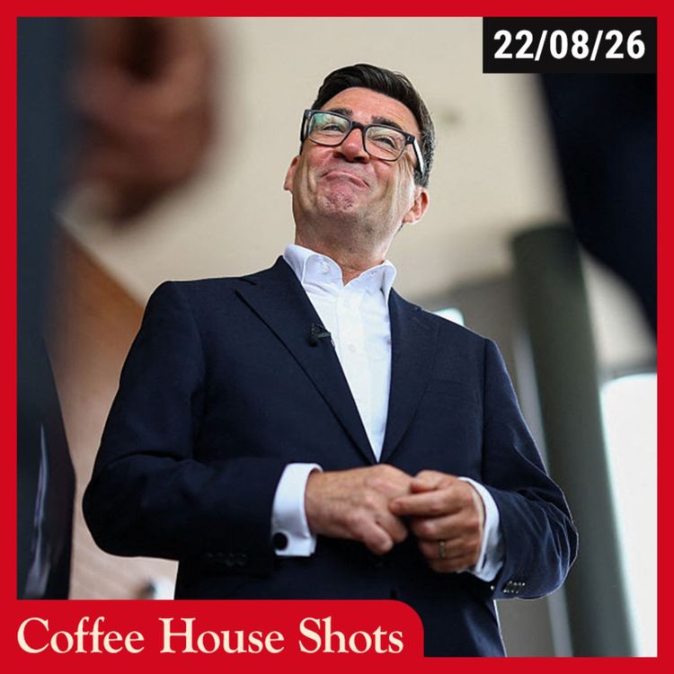 cover art for Reviewing Andy's report card – with Baroness Debbonaire