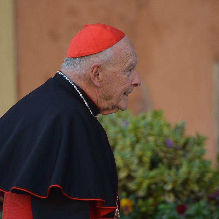 cover art for Cardinal McCarrick, sex abuse and the shameful silence of the American bishops