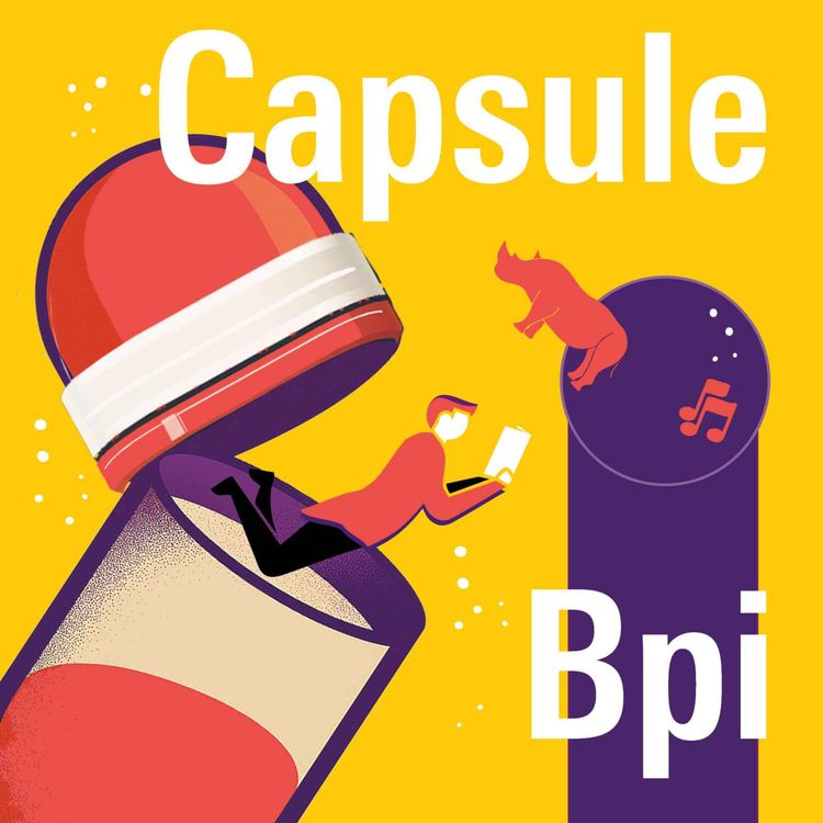 cover art for Capsule Bpi #6 • Les bibliothécaires, comme des sentinelles