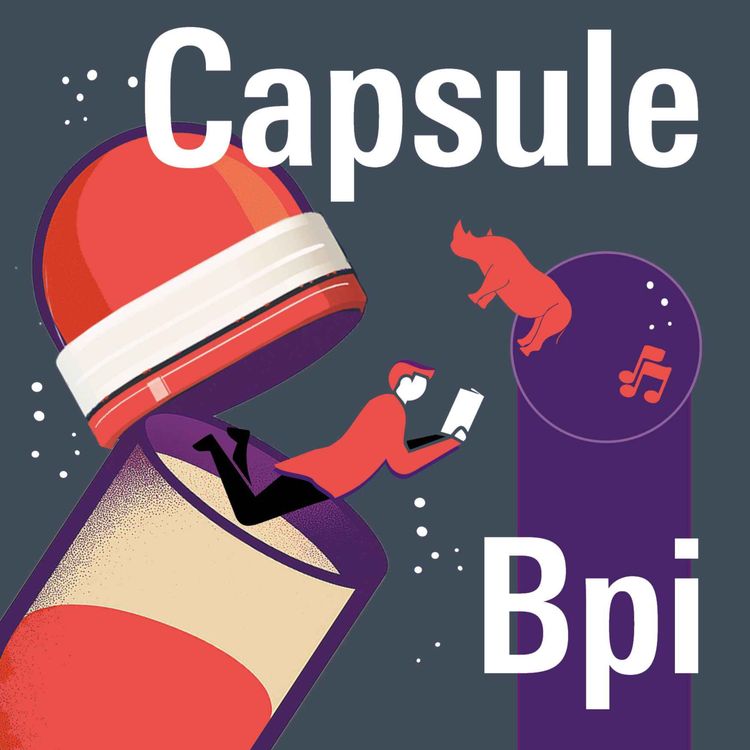 cover art for Capsule Bpi #8 • Un grand bazar générateur de rencontres