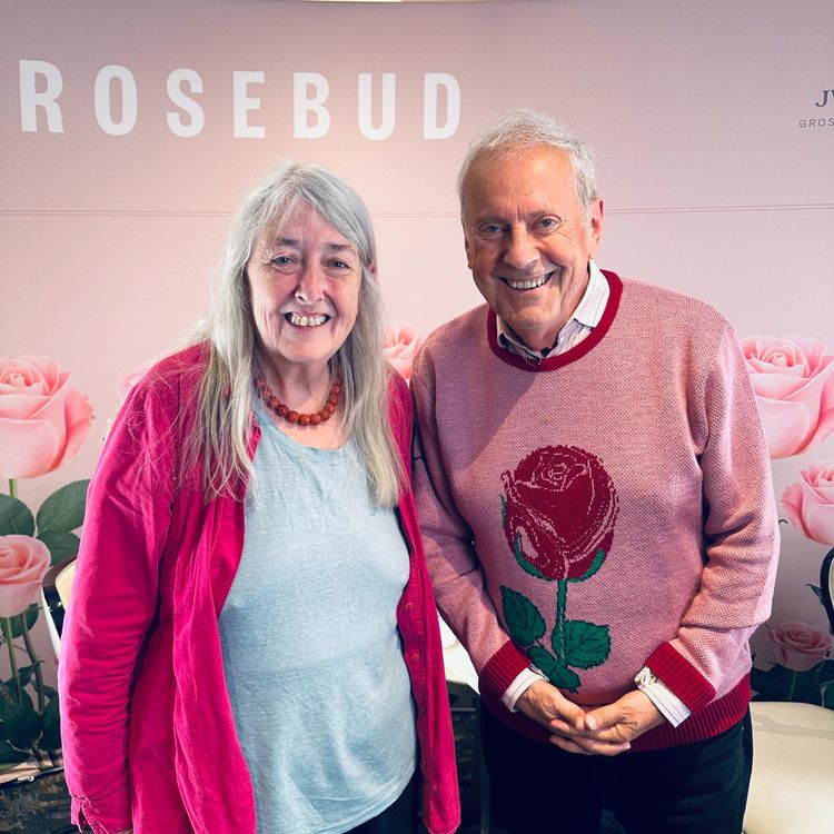 cover art for Professor Dame Mary Beard