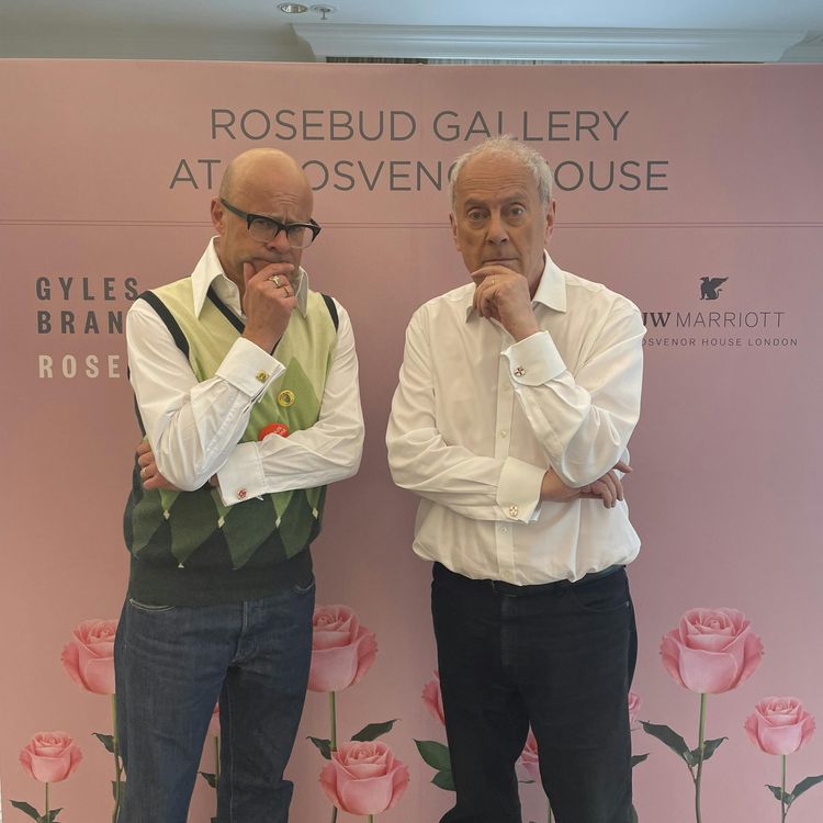 cover art for Harry Hill