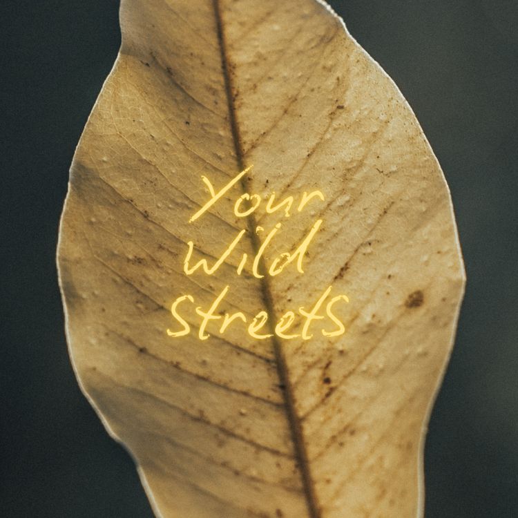 cover art for Soil, Soul and Society with Satish Kumar